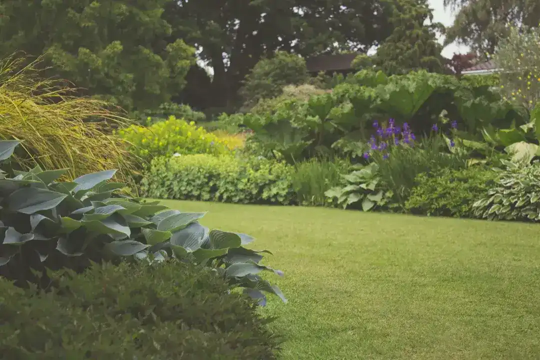 Gardening Services Sydney