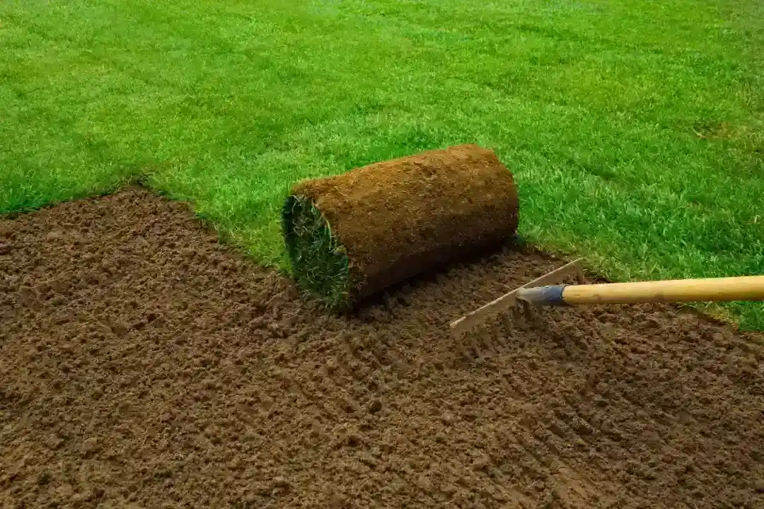 Gardening Services Sydney