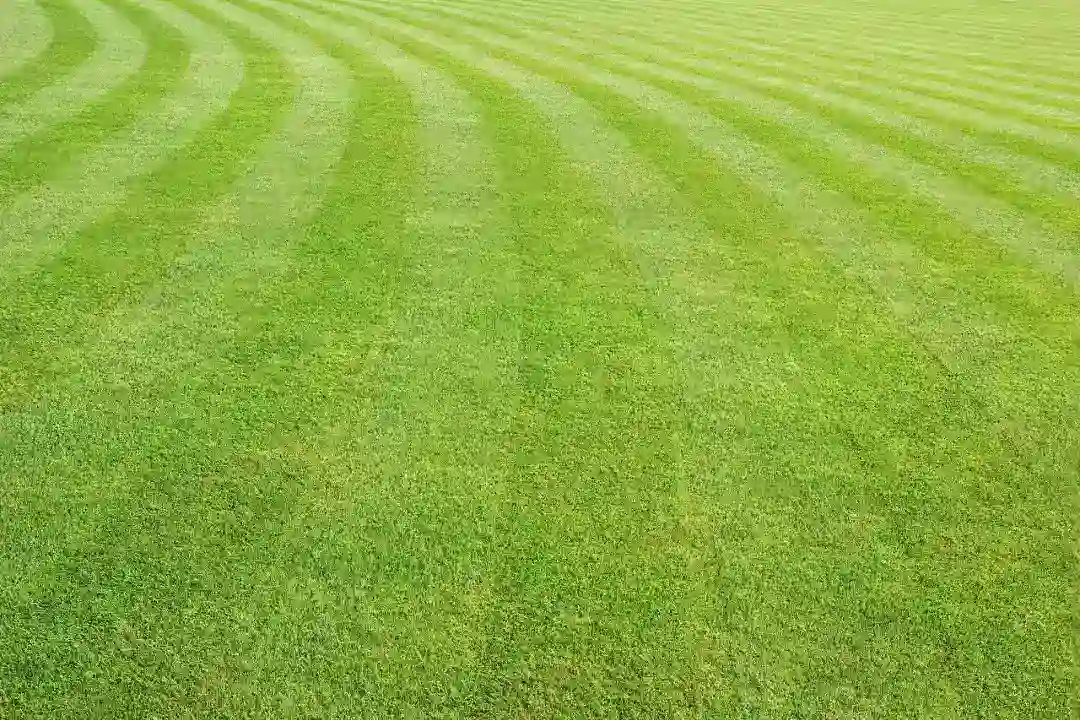 Gardening Services Sydney