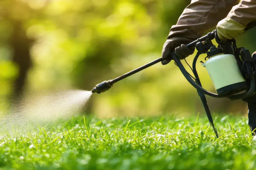 Gardening Services Northern Beaches