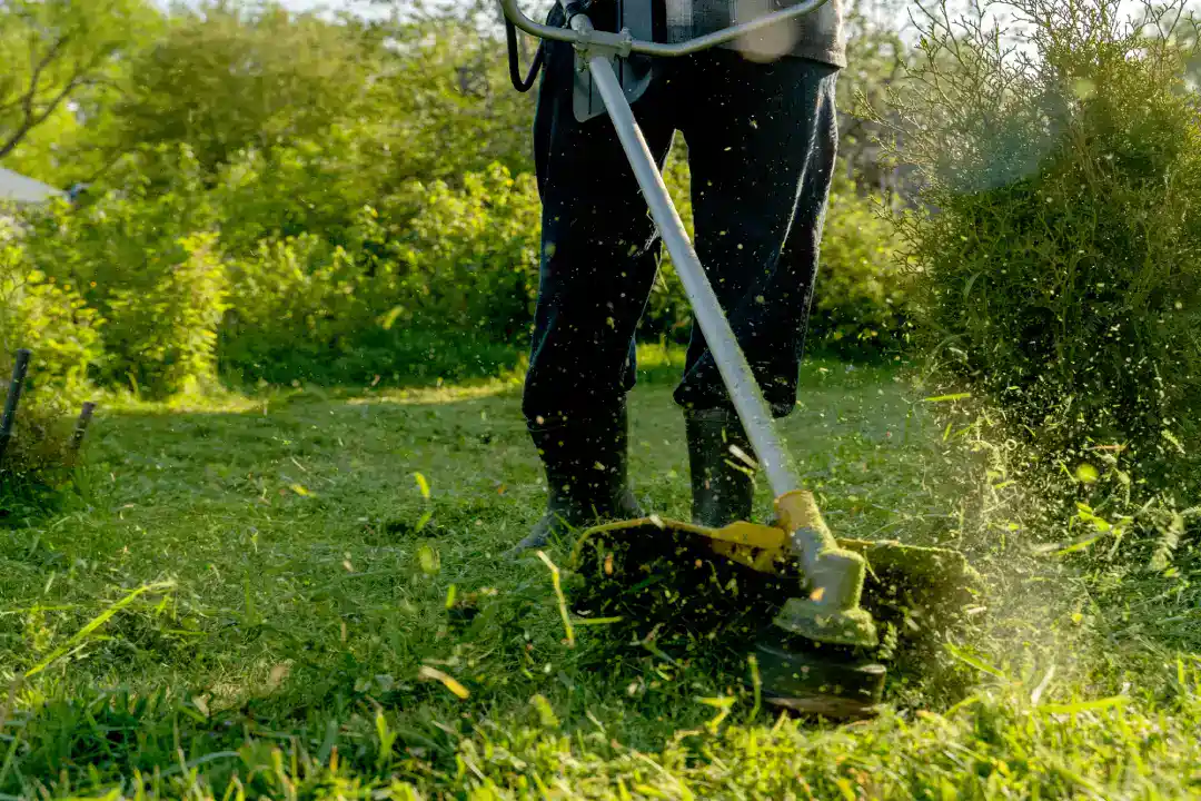 Gardening Services Northern Beaches