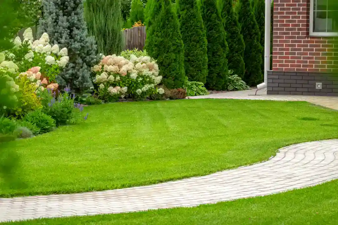 Gardening Services Sydney