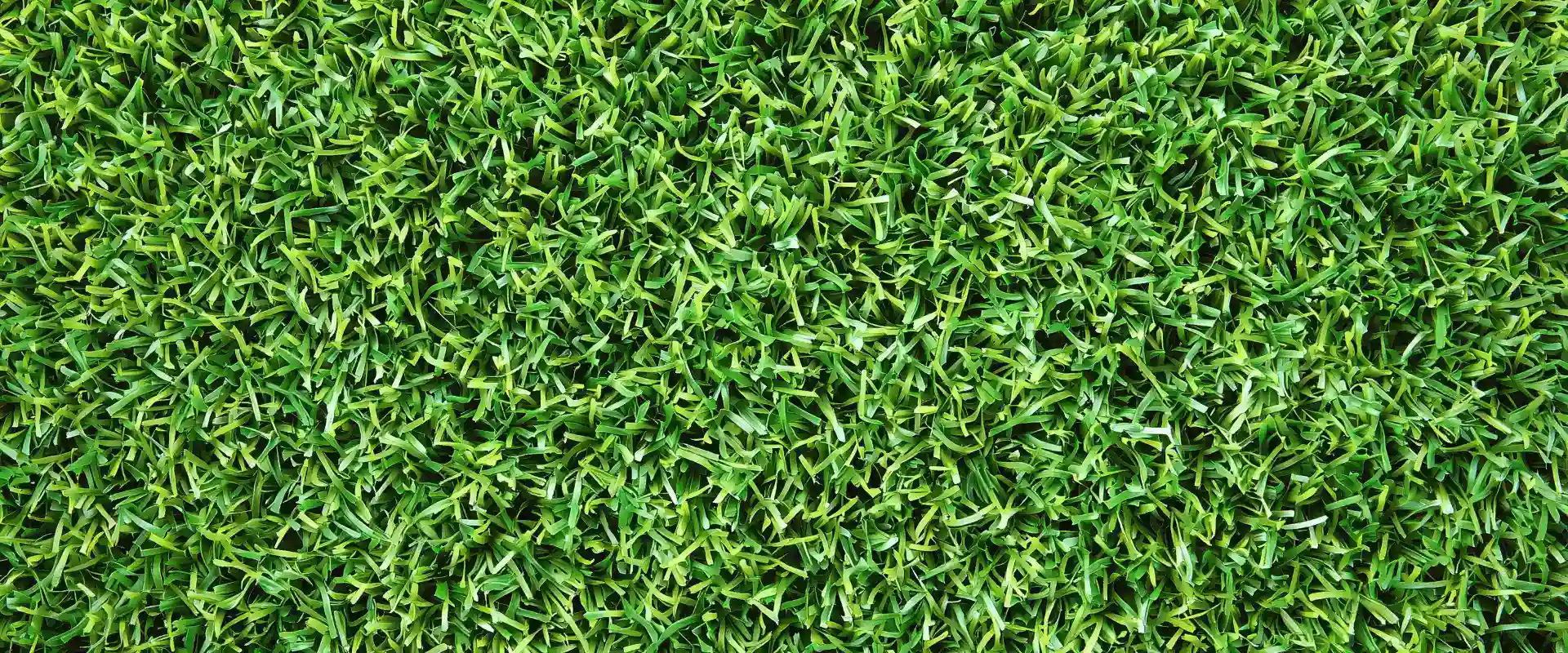 Lawn Mowing Central Coast