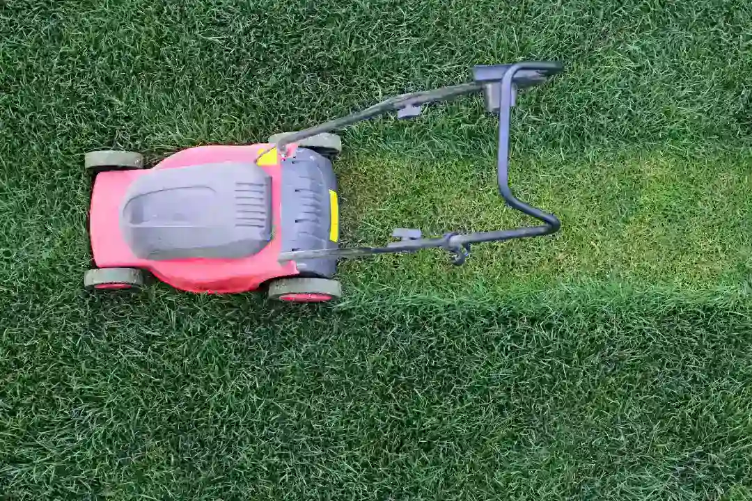 Lawn Mowing Gosford