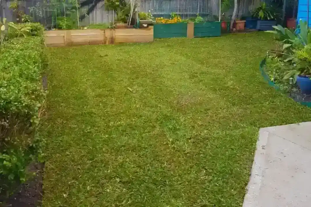 Lawn Mowing Gosford