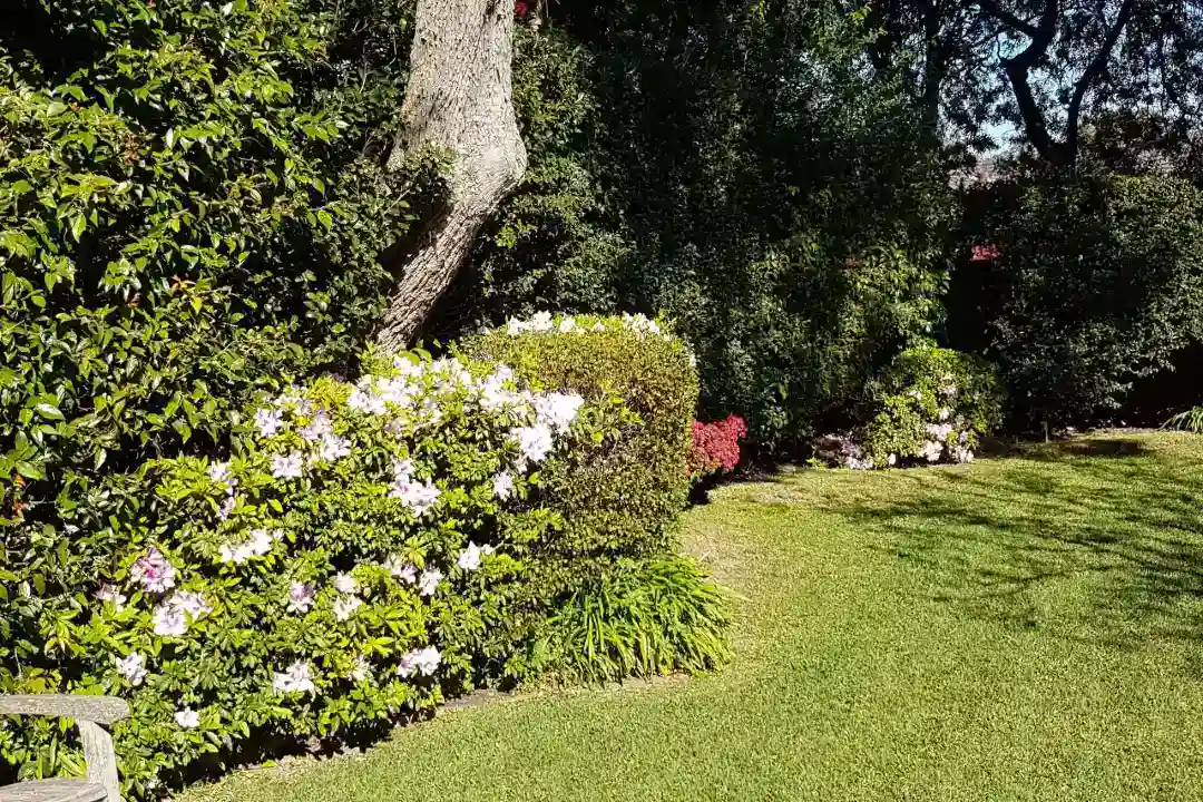 Lawn Mowing Hornsby