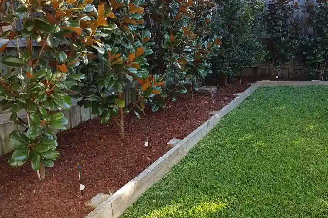 Lawn Mowing Terrigal