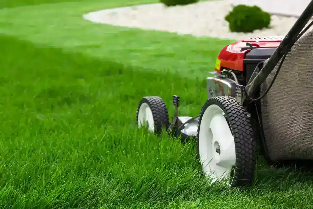 Lawn Mowing Tuggerah