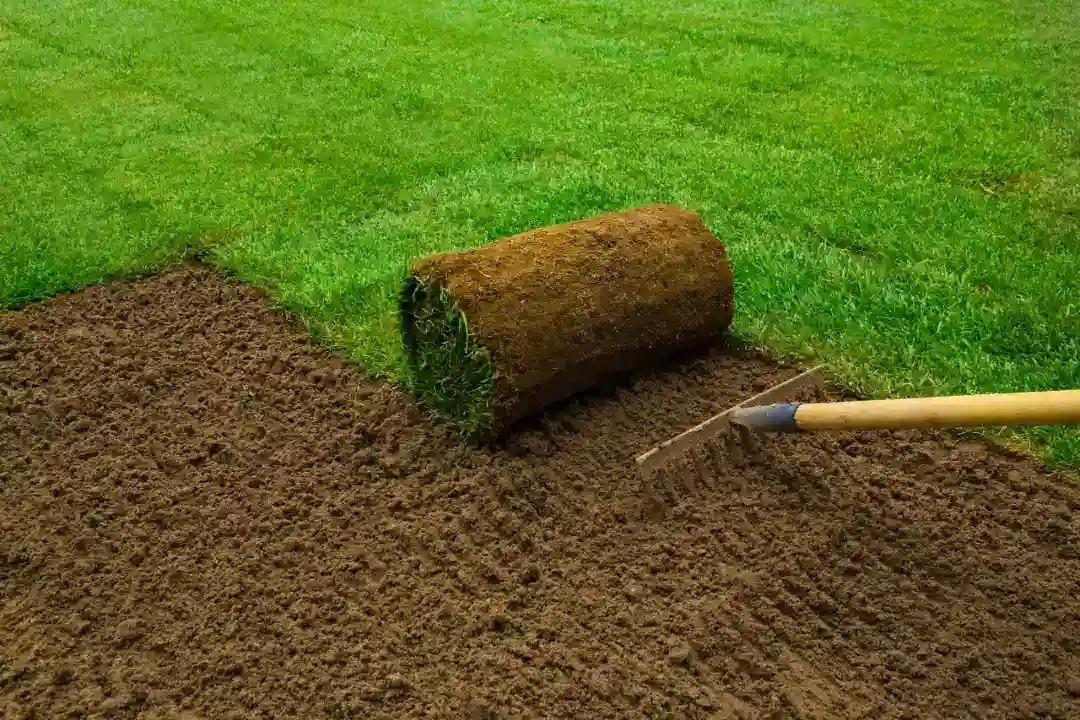 Lawn Mowing Tuggerah