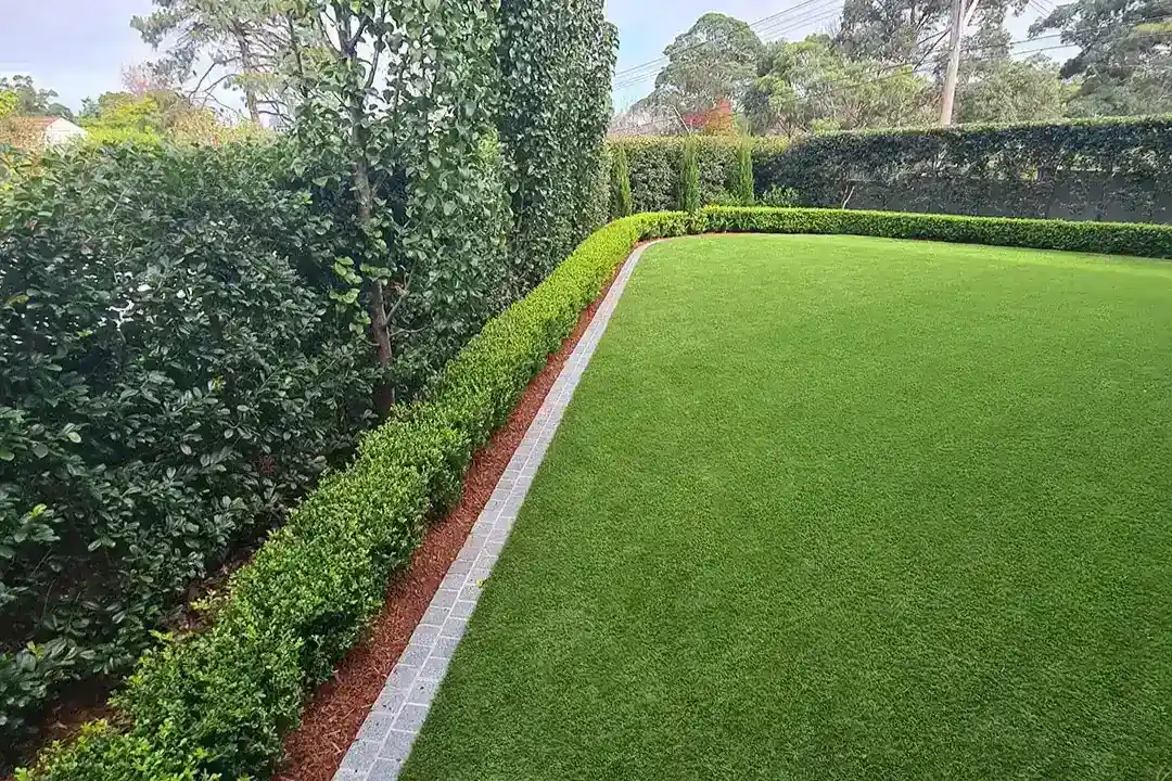 Lawn Mowing Terrigal