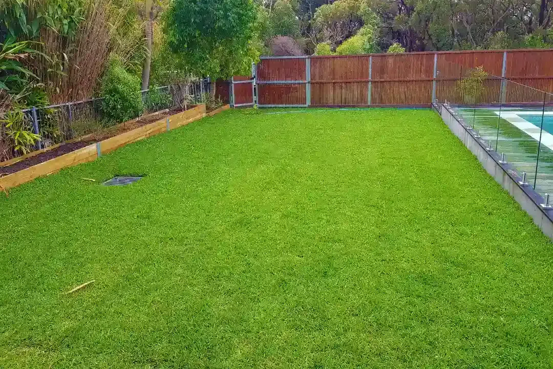 Lawn Mowing Terrigal