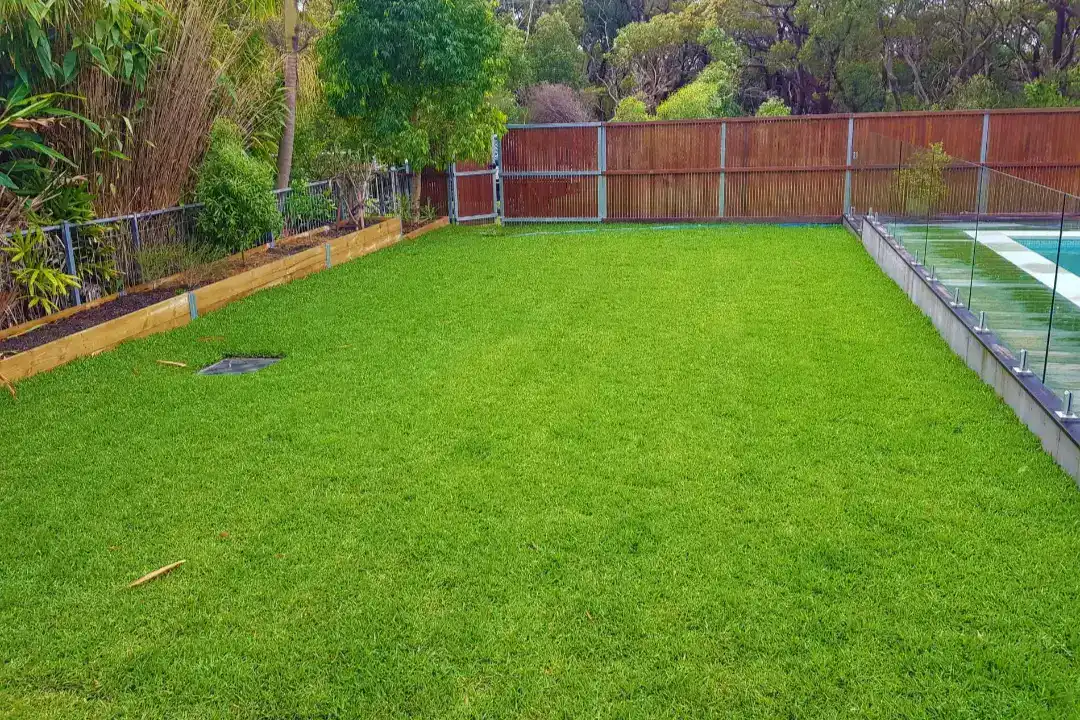Lawn Mowing Wyong