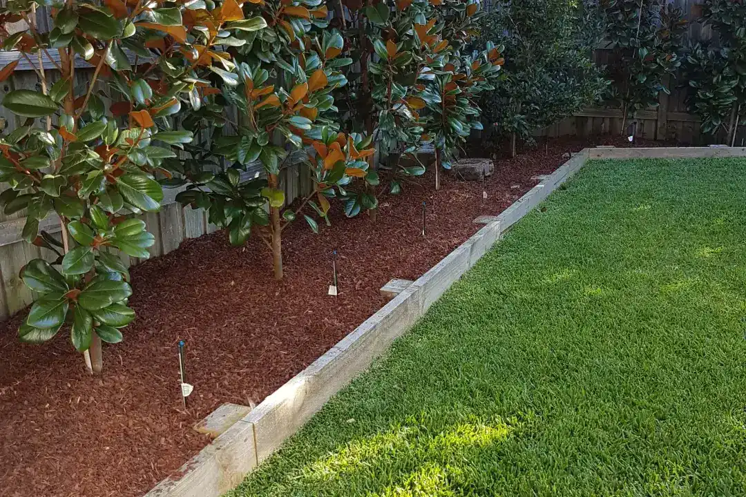 Lawn Mowing Wyong