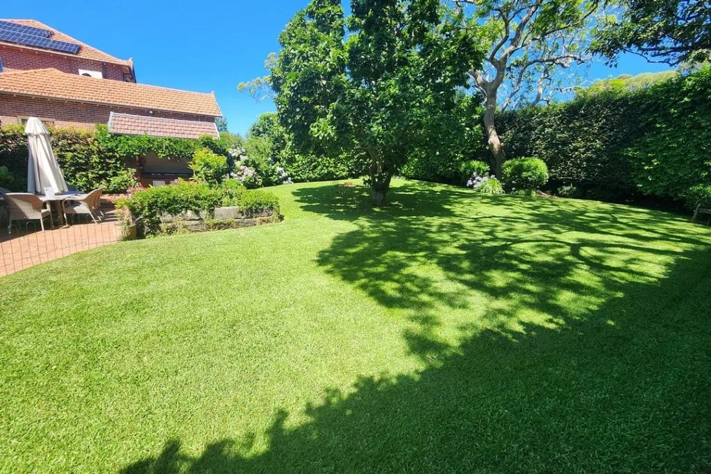 Gardening Services Eastern Suburbs Sydney